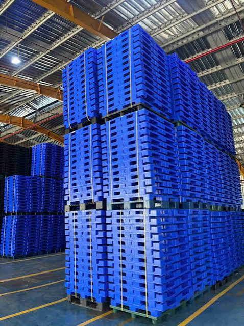 Bảo quản pallet nhựa